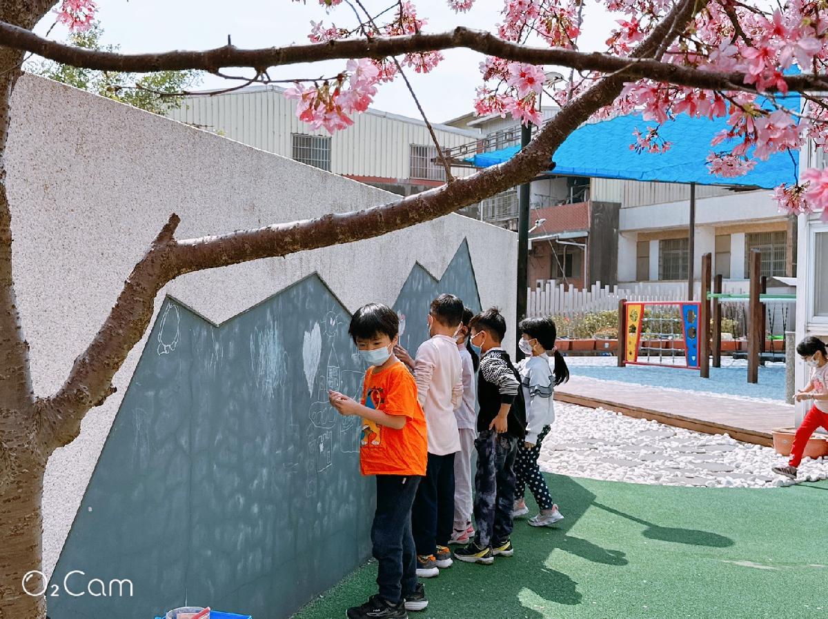 櫻花樹下的塗鴉黑板牆